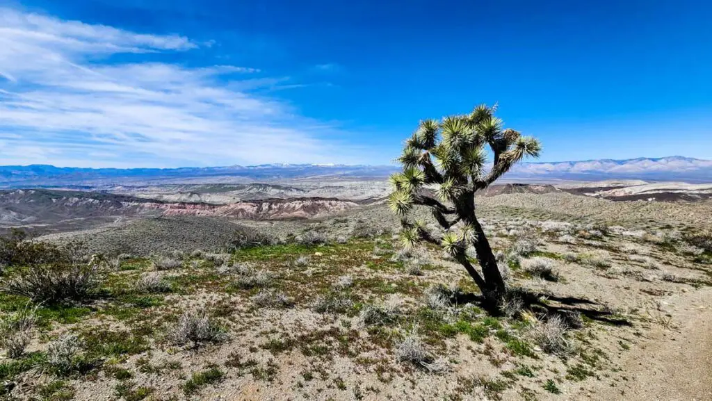 Red Rock Canyon State Park View