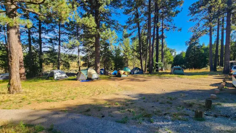 El Prado Group Campground – Laguna Mountains