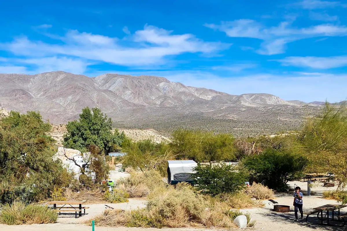 Agua Caliente Campground in Anza Borrego