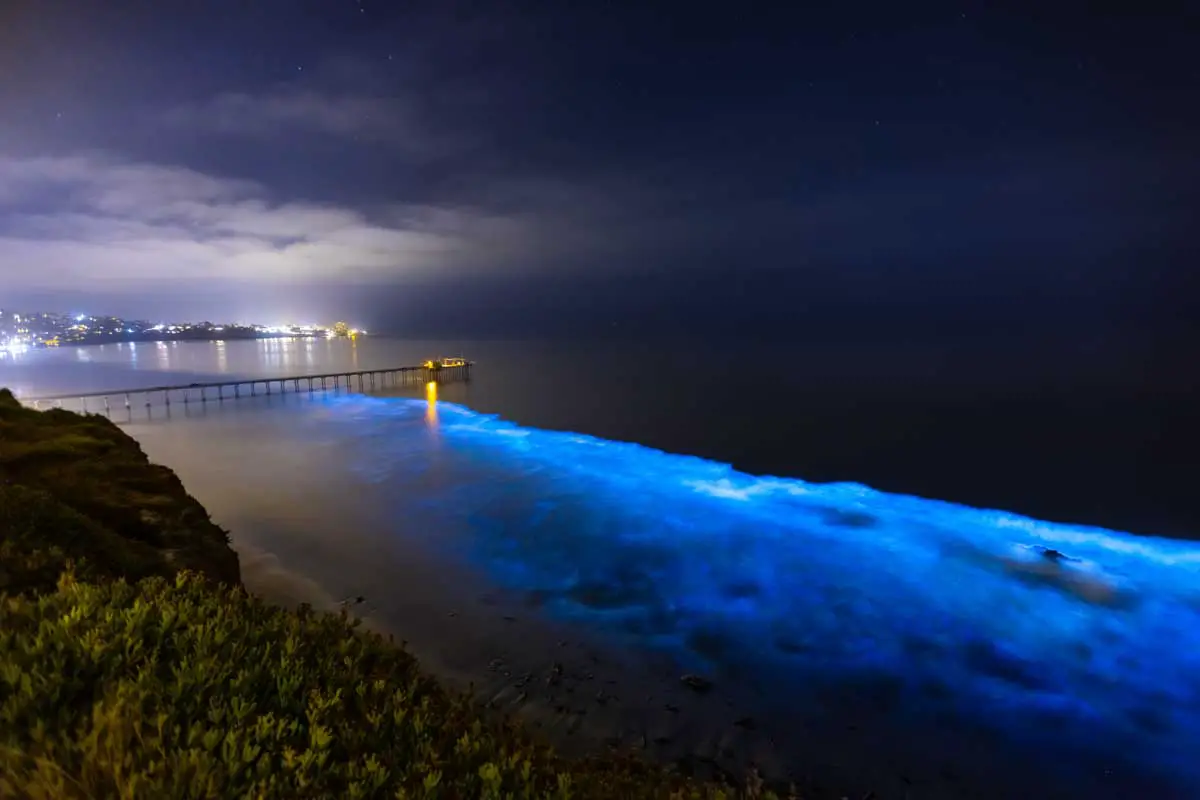Bioluminescent waves in La Jolla Shores