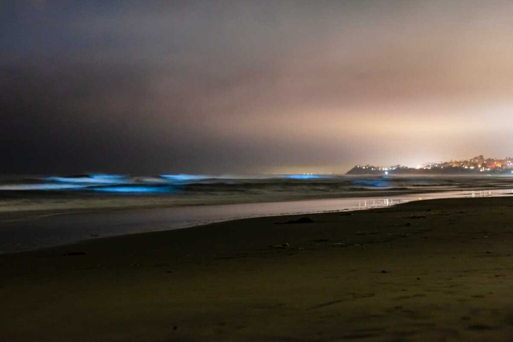 Bioluminescent waves San Diego