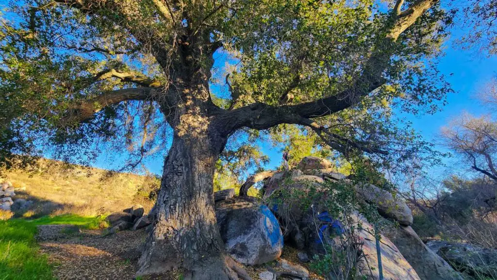 La Alba Trail