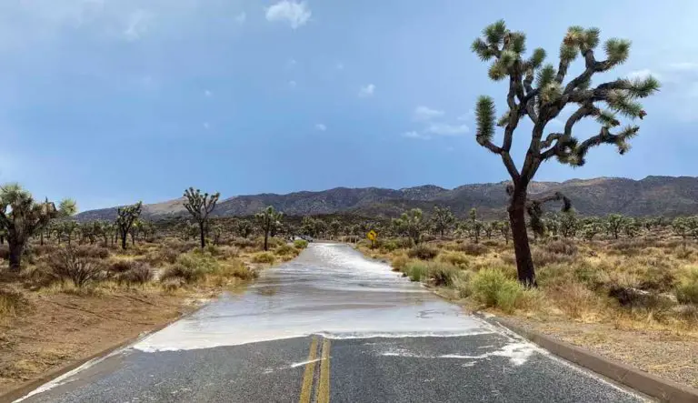 How to Stay Safe During Desert Floods
