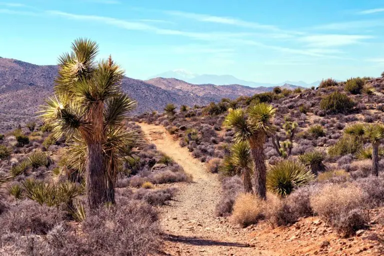 National Park Service Cracks Down on AWD Drivers Using 4WD-Only Trails