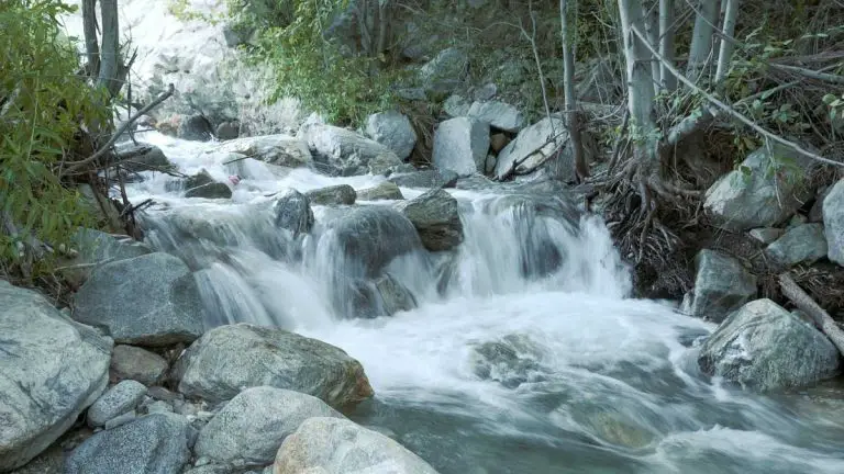 U.S. Forest Service Halts Arrowhead Water Operations in San Bernardino Mountains