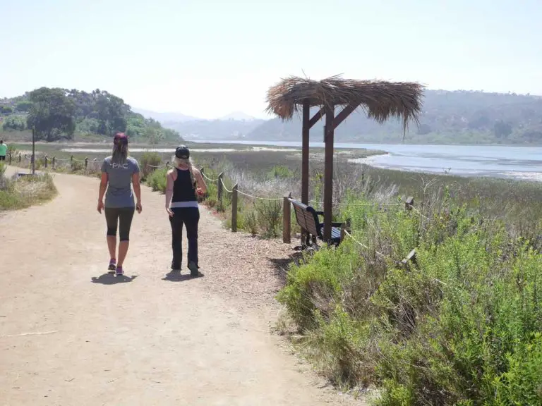 Batiquitos Lagoon Trail Hiking Guide