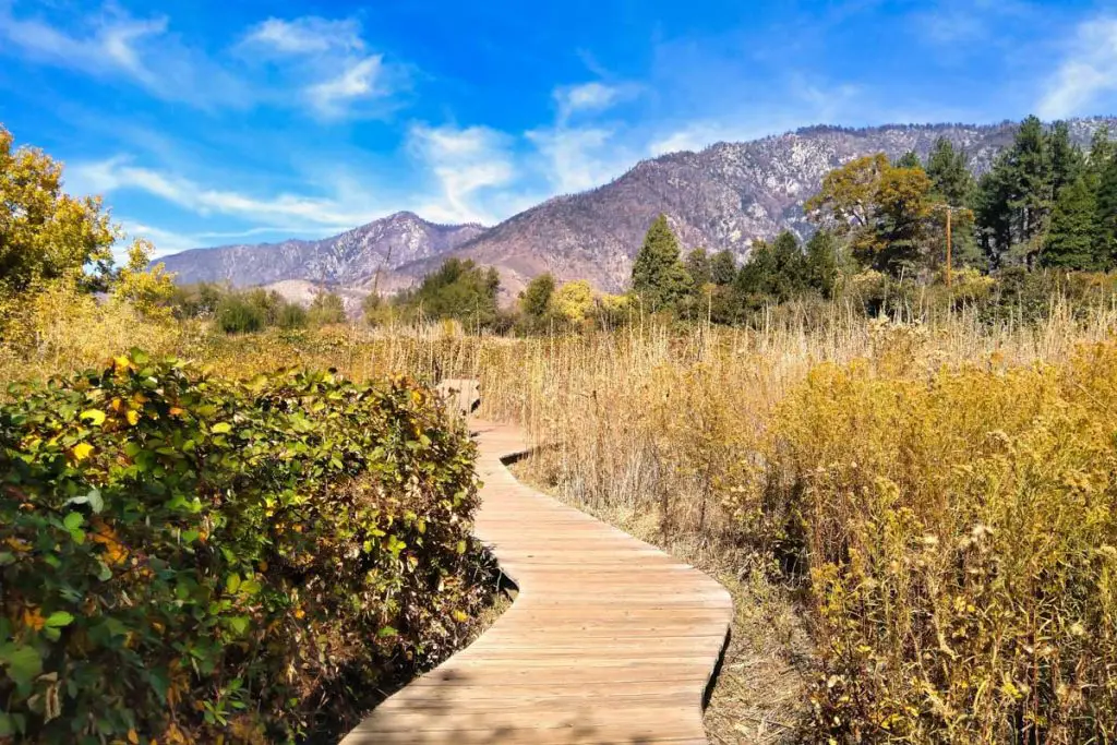 Oak Glen Preserve
