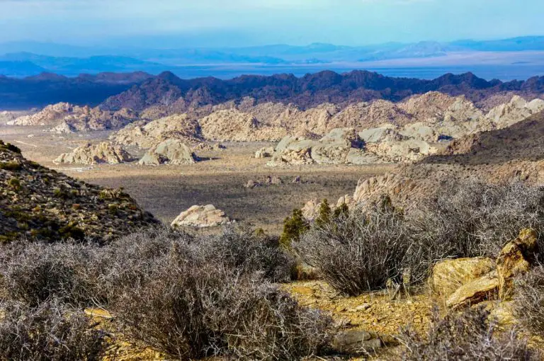 Wonderland of Rocks: Guide to Joshua Tree’s Rugged Maze of Boulders