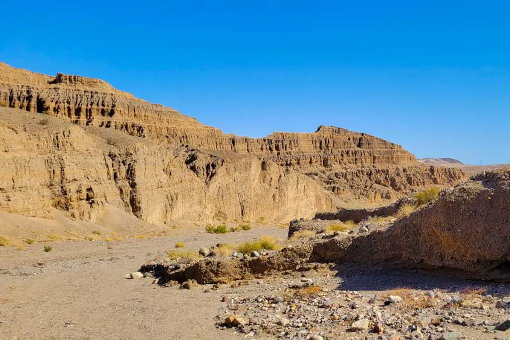 Afton Canyon - Mojave Trails