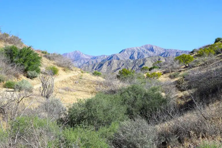 Big Morongo Canyon  Hiking Guide