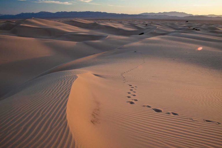 Cadiz Dunes Wilderness