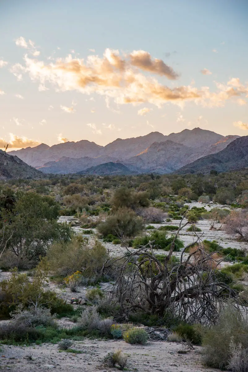 Corn Spring Campground