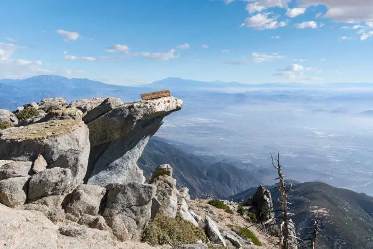 Cucamonga Peak Trail