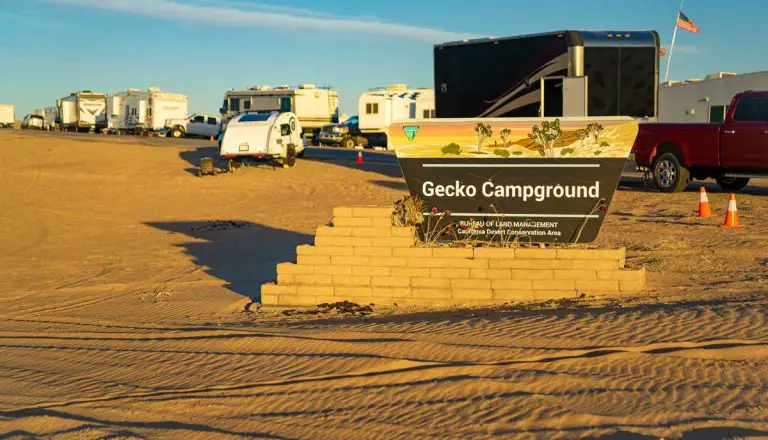 Gecko Campground – Imperial Sand Dunes