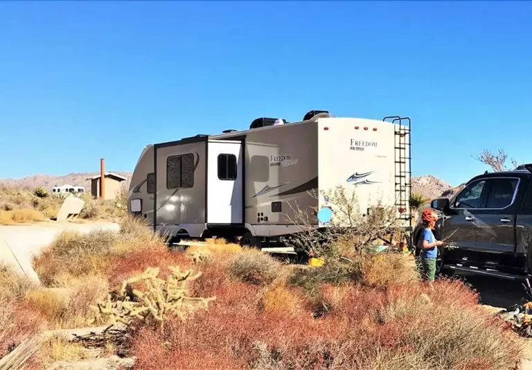 Mojave National Preserve Camping Guide