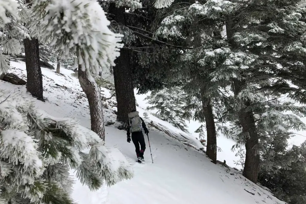 Hiker on Icehouse Canyon Trail in winter.