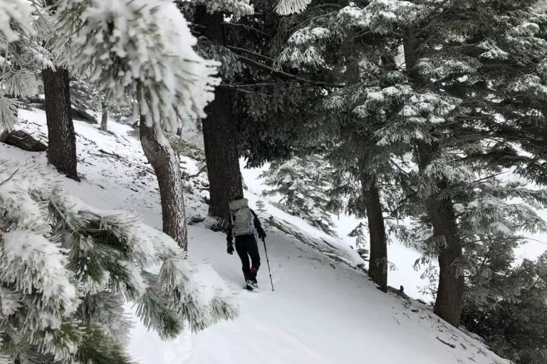 Ice House Canyon Trail