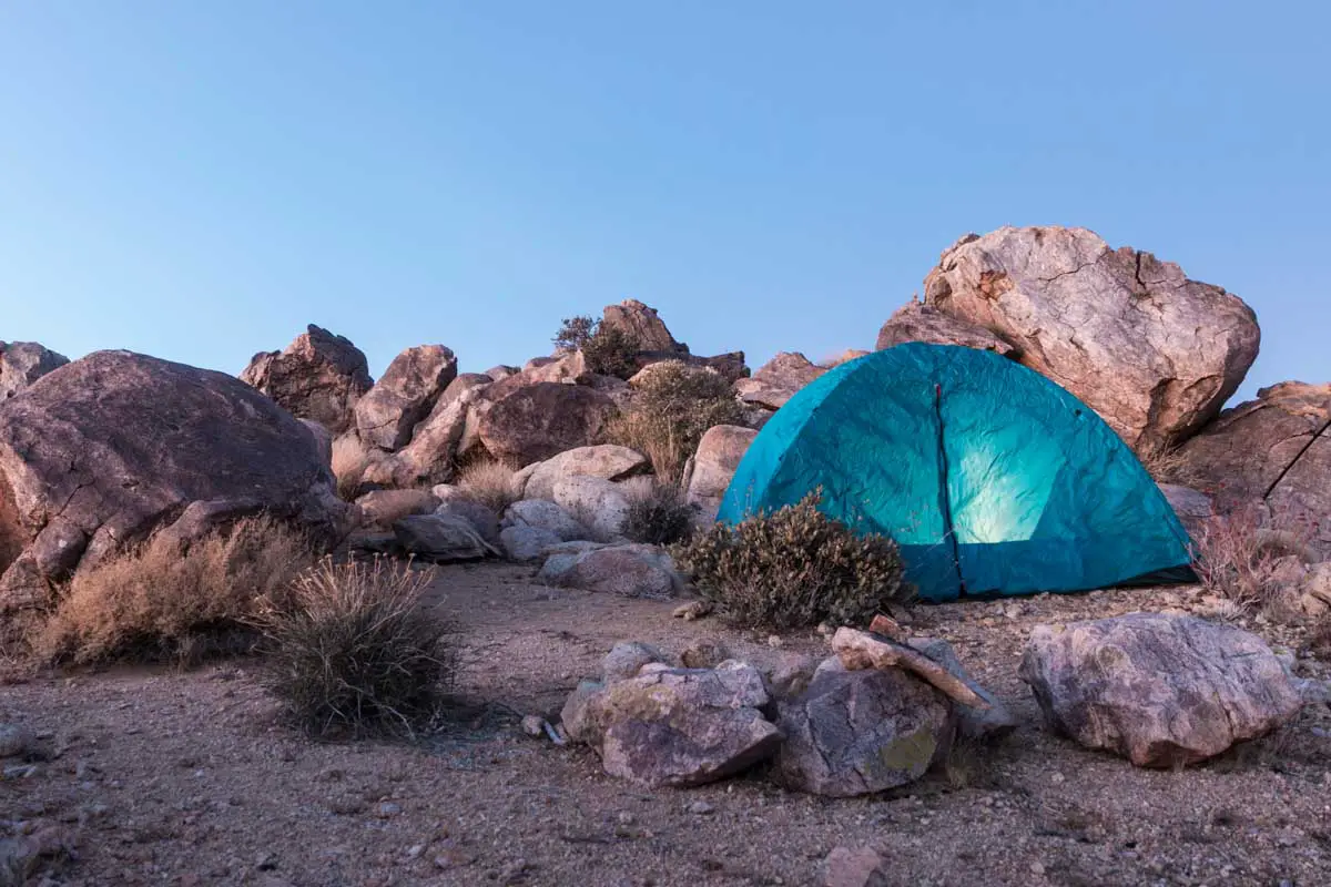 Joshua Tree Camping
