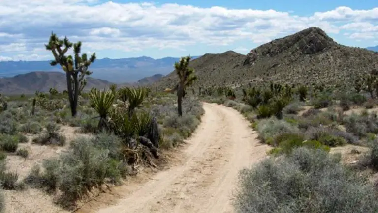 Old Spanish Trail – California