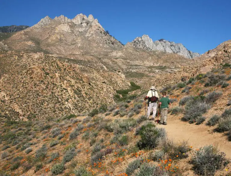 Owens Peak Wilderness Guide