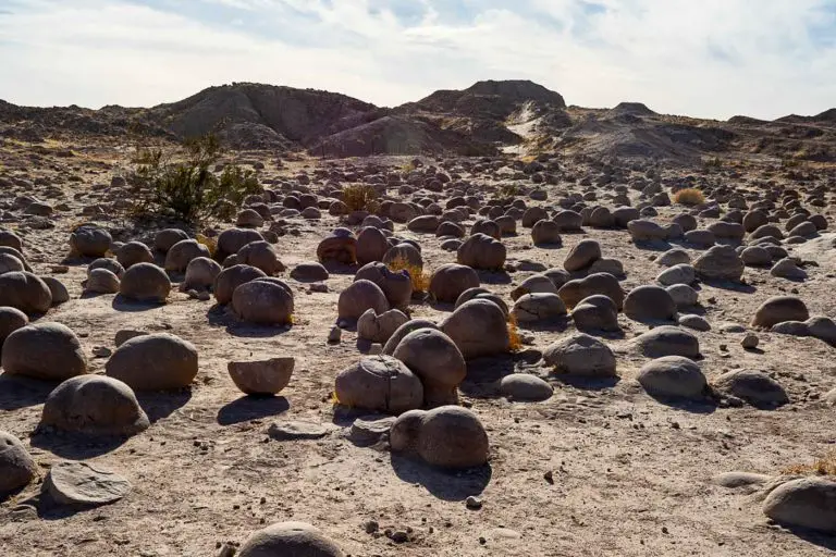 Pumpkin Patch in Ocotillo Wells SRVA: A Unique Desert Rock Garden