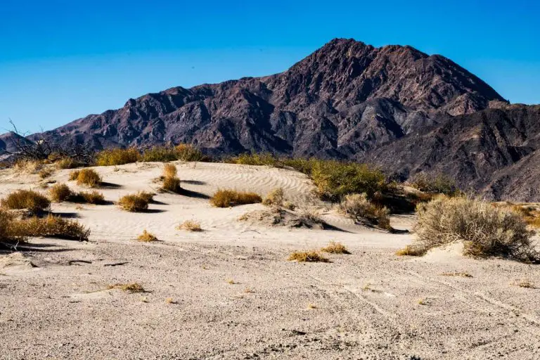 Rasor OHV Recreation Area Guide