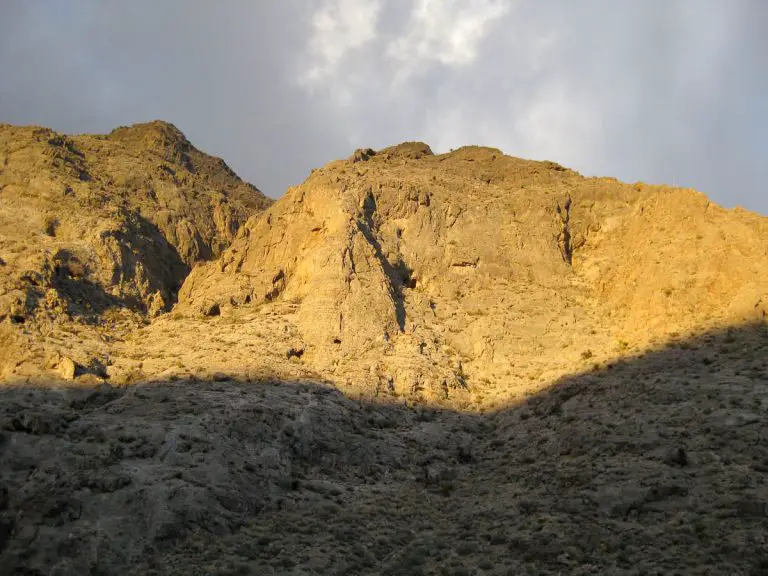 Stateline Wilderness: A Mojave Desert Gem