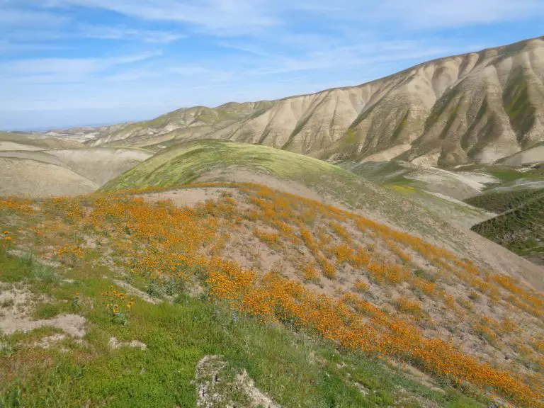 Tumey Hills