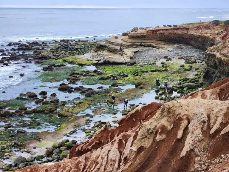 Best Tide Pools in San Diego