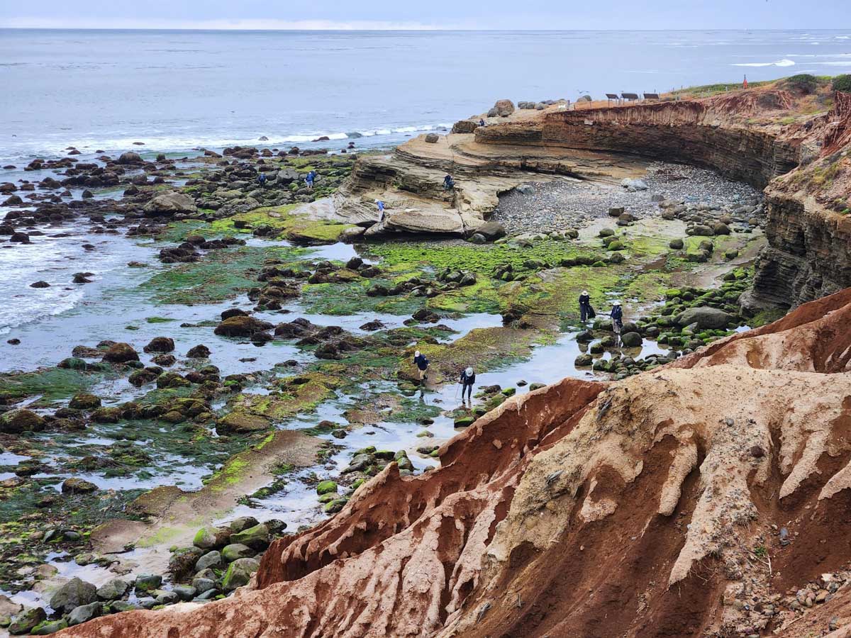 Tide pools at Cabrillo National Monument