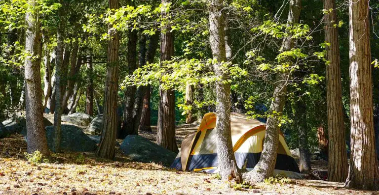 Dark Canyon Campground – San Bernardino National Forest