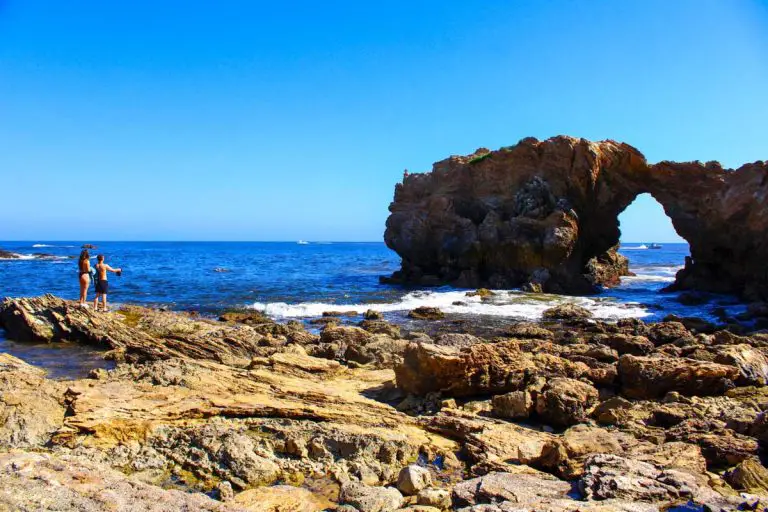 Little Corona del Mar Beach: Tidepooling, Snorkling, and Diving