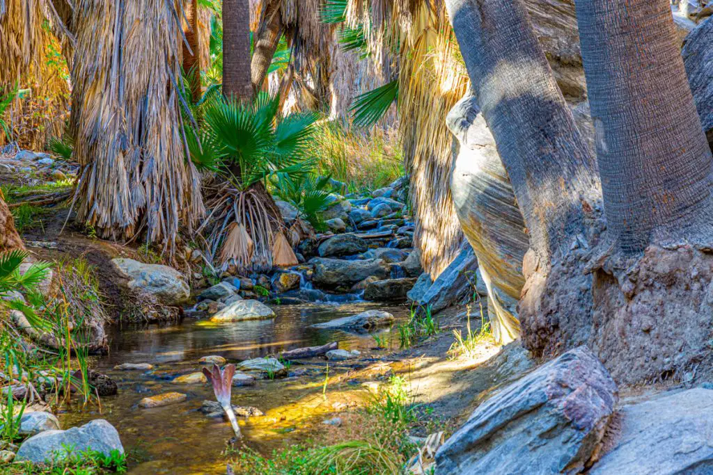 Tahquitz Canyon Trail