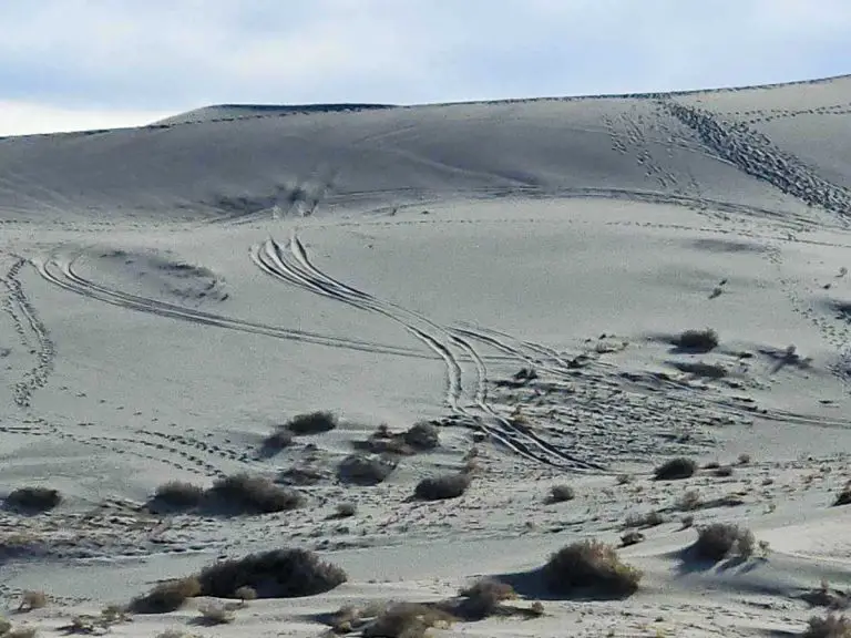 Death Valley National Park Looking for Dune Wreckers