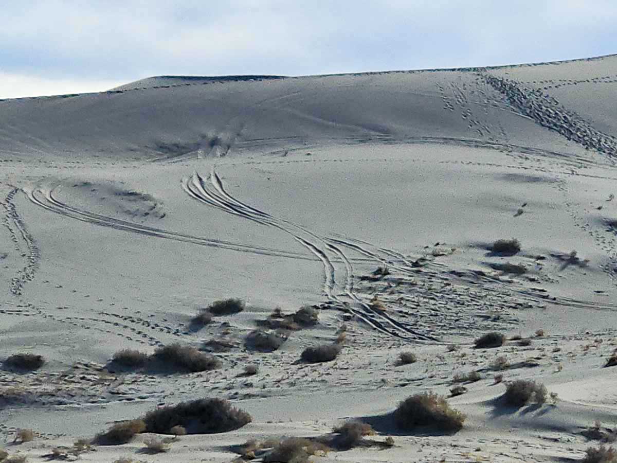 Death Valley Dune Damage