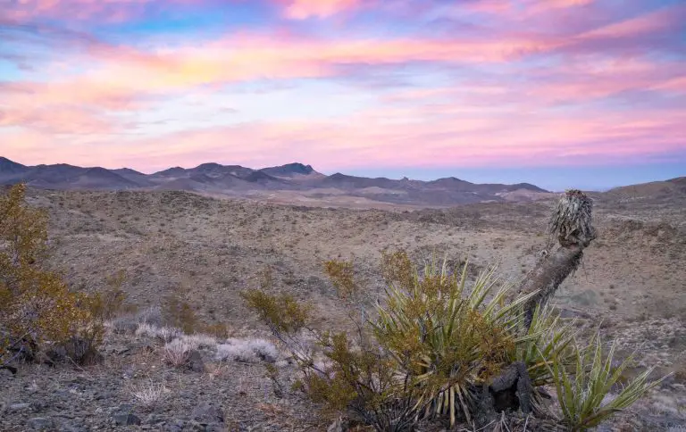 Rodman Mountain Wilderness