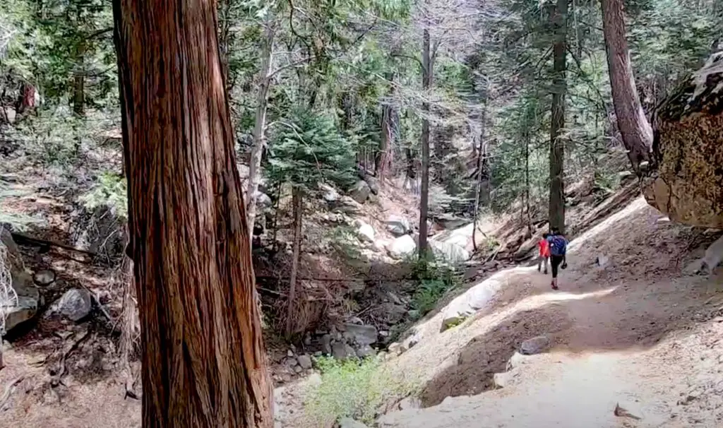 Ernie Maxwell Trail - Idyllwild