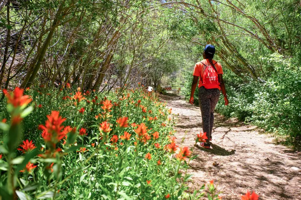 Sugarloaf National Recreation Trail