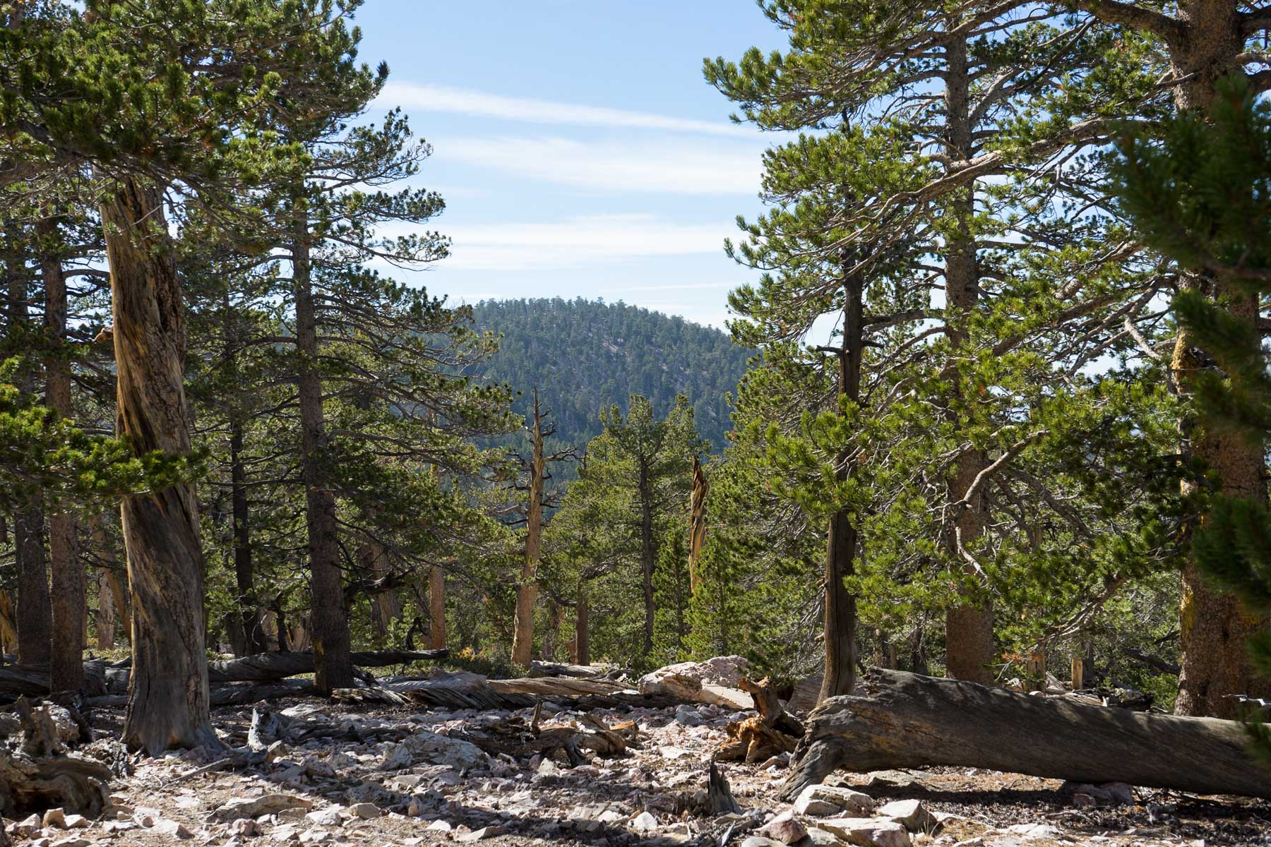 Sugarloaf National Recreation Trail