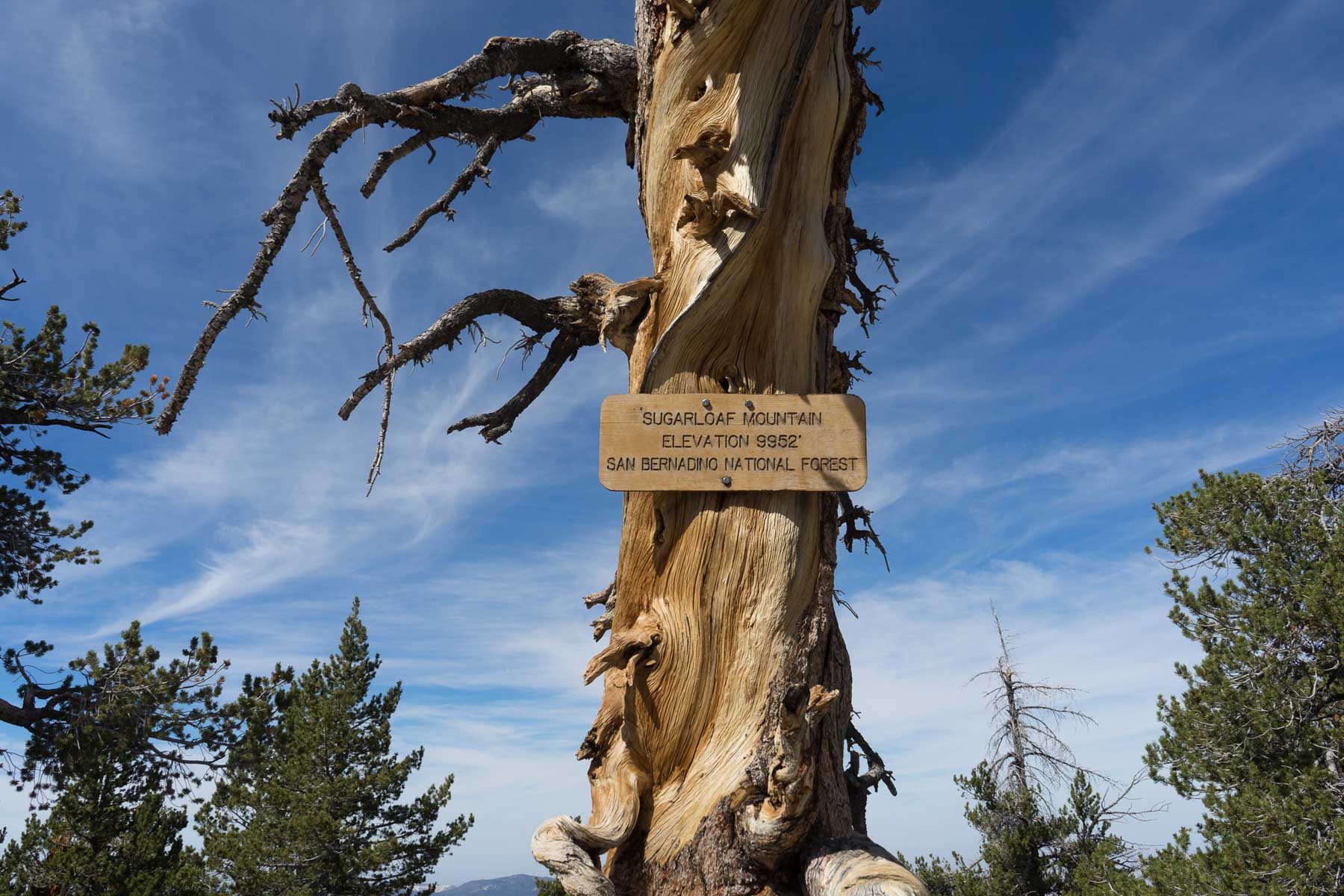Sugarloaf National Recreation Trail