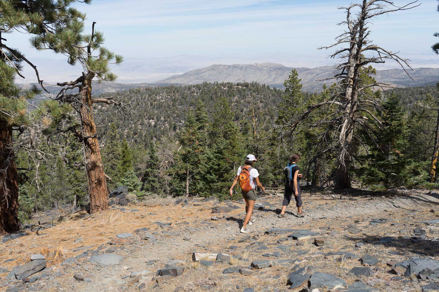 Sugarloaf National Recreation Trail
