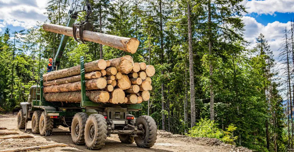 Logging Truck