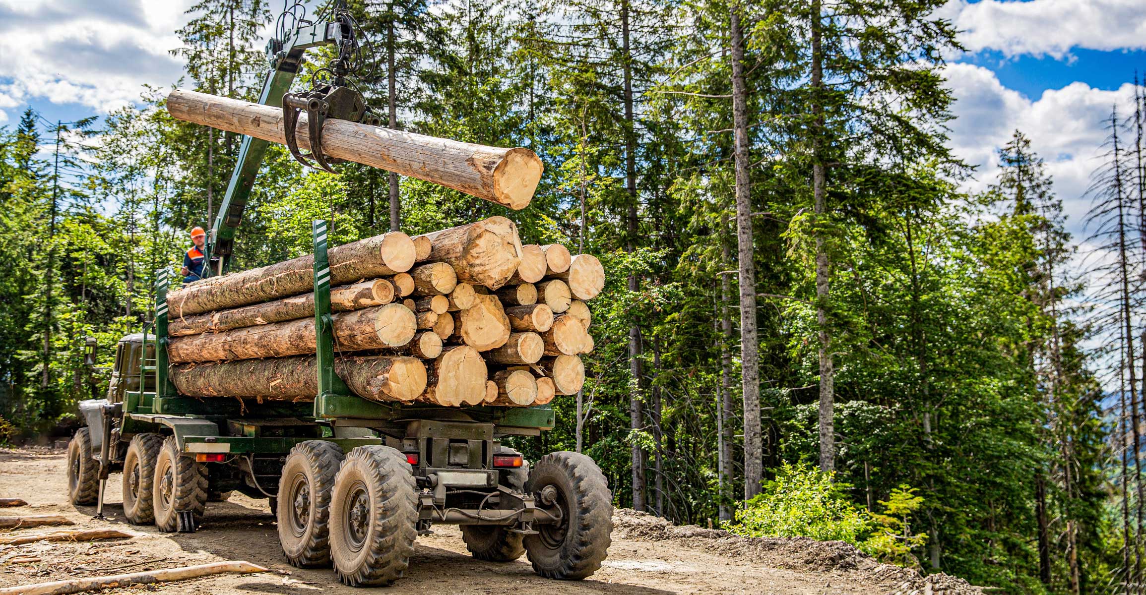 Logging Truck