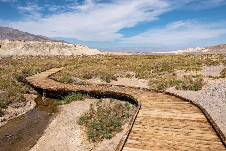 Salt Creek Boardwalk Interpretive Trail: A Guide to Death Valley’s Pupfish Sanctuary