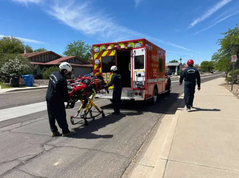 Bees Take Down Phoenix Hiker: 100+ Stings, Airlift Required