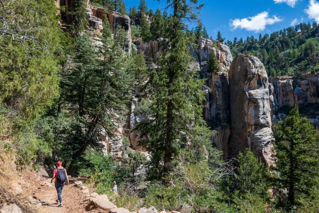 North Rim Grand Canyon