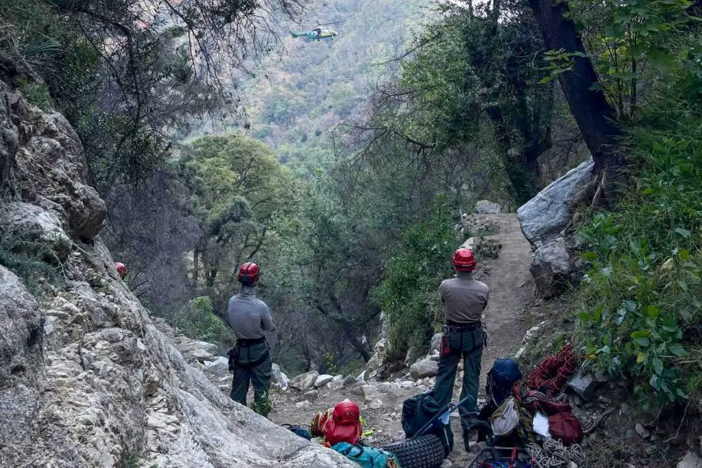 Search and Rescue on Mount Wilson Trail