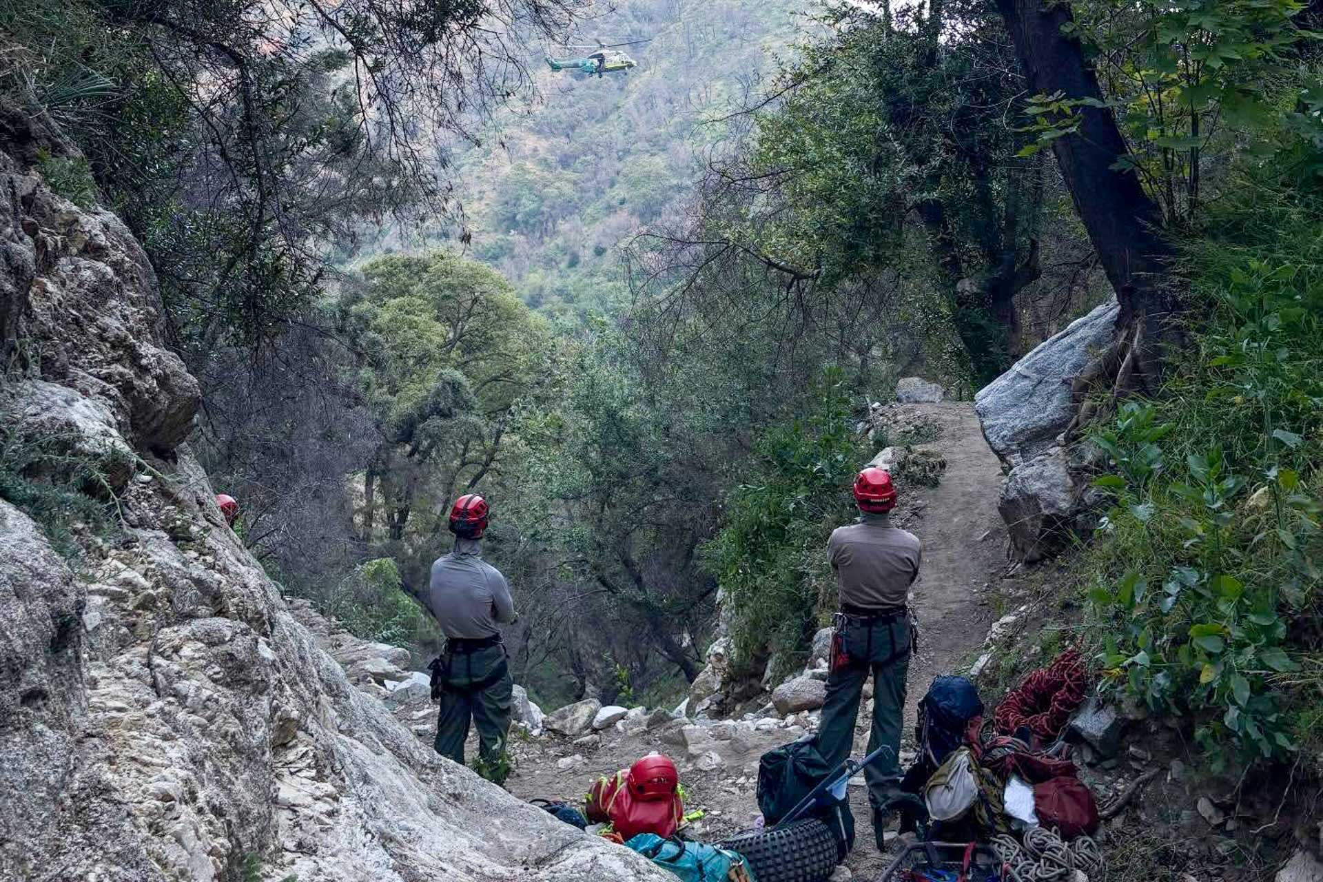 Search and Rescue on Mount Wilson Trail