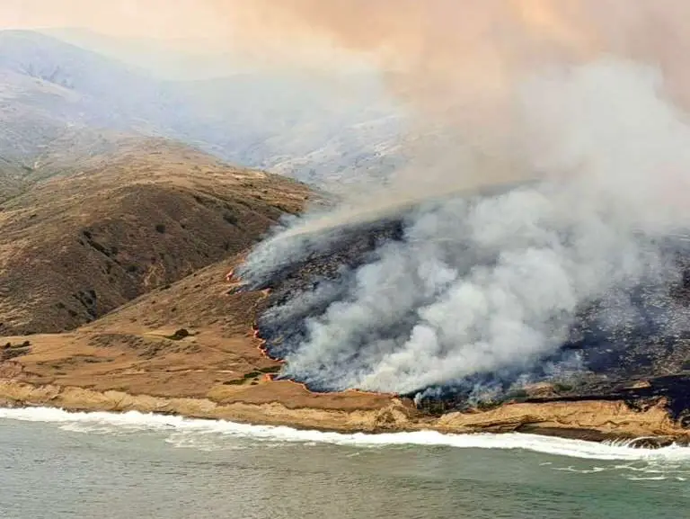 Santa Rosa Island Fire Started by Stranded Sailor Hits 10,000 Acres