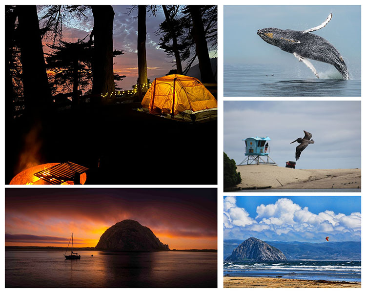 California State Parks photo contezt